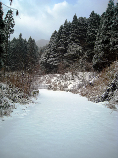 a0097006_11255041.jpg
