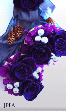 b0111306_18111052.gif