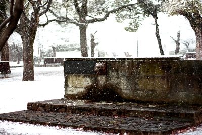 e0028810_9594020.jpg