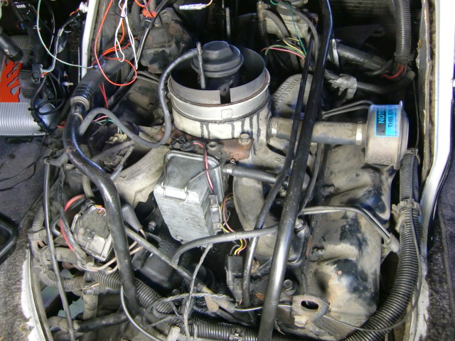 c0118011_15383522.jpg