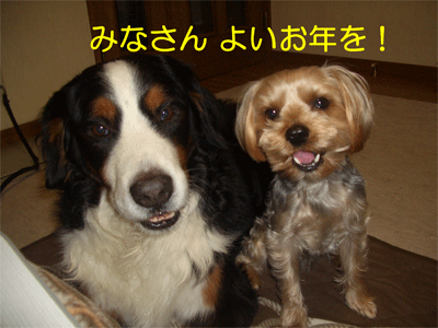 c0143711_1927344.gif