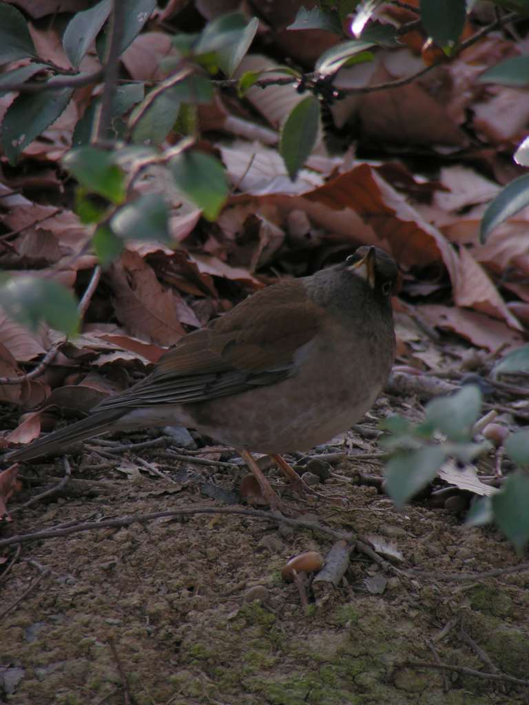 c0001613_22204624.jpg