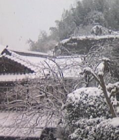 f0196014_1123895.jpg