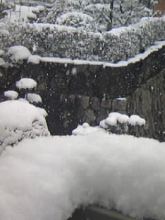 f0196014_1124915.jpg