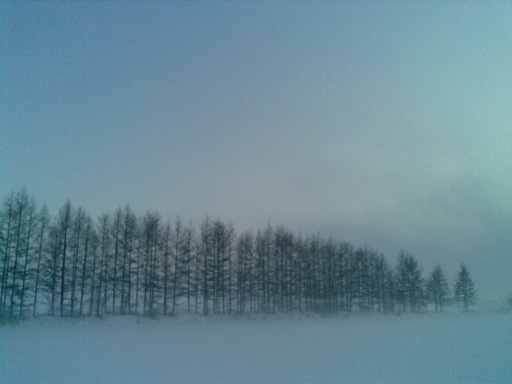 winter scenery_f0128216_18264022.jpg