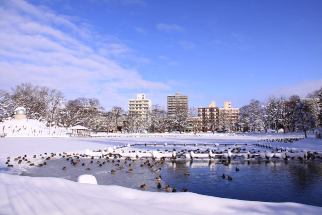 旭川　常盤公園　雪景色_d0026817_1215391.jpg