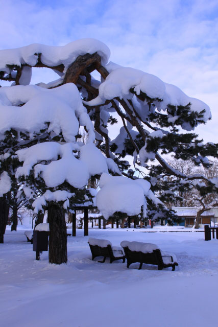 旭川　常盤公園　雪景色_d0026817_124996.jpg