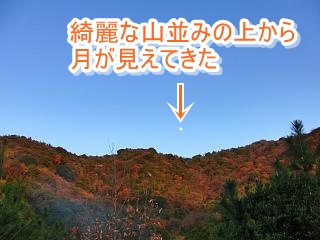 e0179321_6572490.jpg
