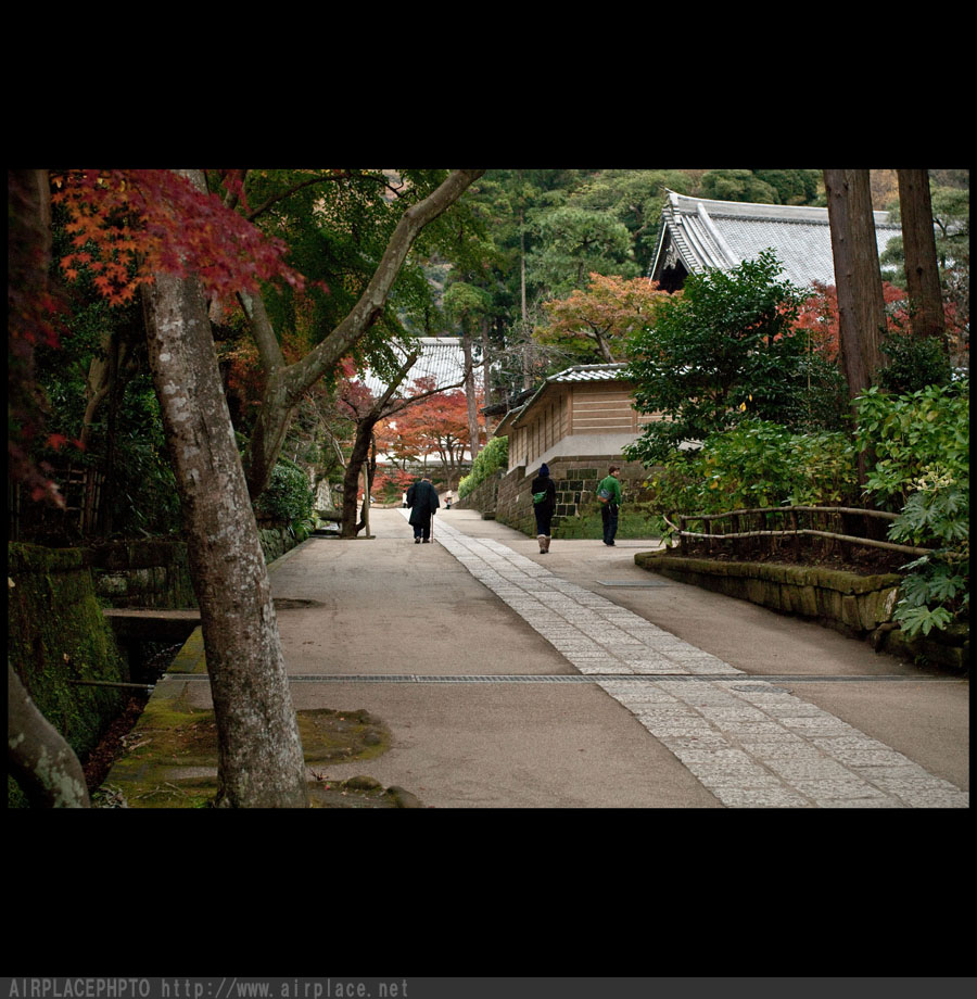 今年最後の紅葉特集　～円覚寺～_f0086721_18404781.jpg