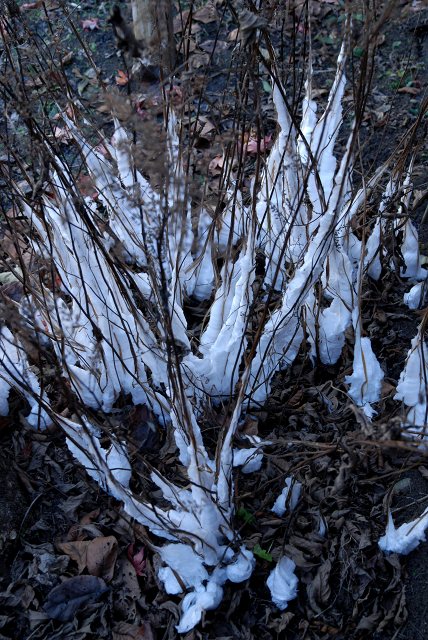 c0027027_22293115.jpg