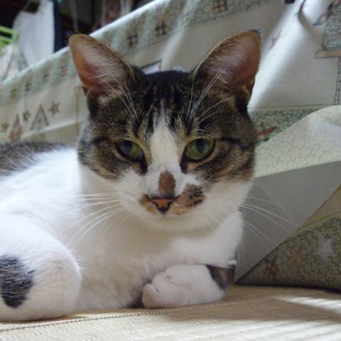よいお年を♪_b0166128_11533016.jpg
