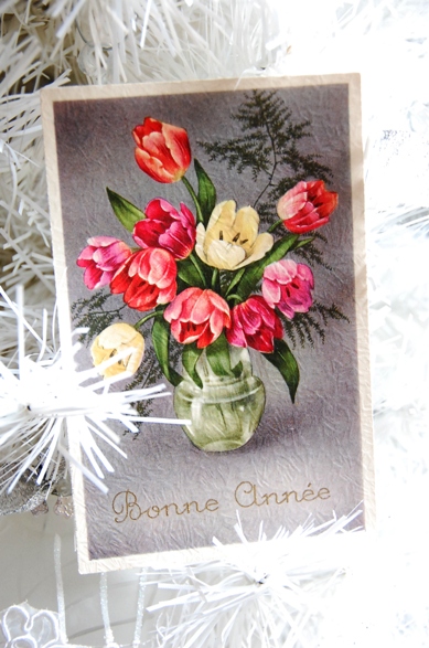 Bonne Année 2010 ! ! ! 　（もうすぐ編）_f0095128_2149592.jpg