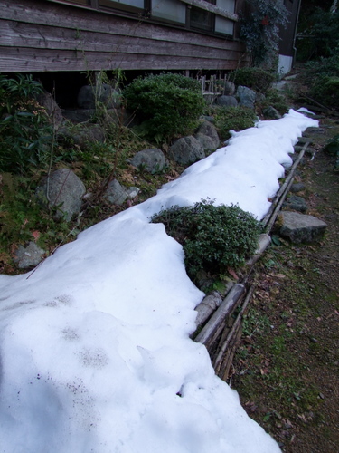 「鳥取・岩美町 岩井温泉 岩井屋」_a0000029_13255023.jpg