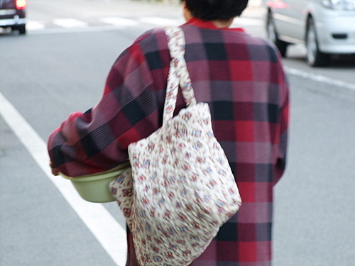 「鳥取・岩美町 岩井温泉 岩井屋」_a0000029_1327846.jpg