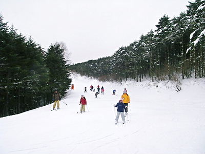 c0143330_14201492.jpg