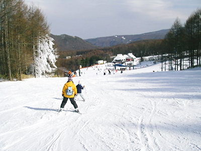 c0143330_14214929.jpg