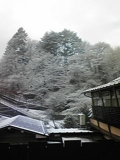 c0226331_928251.jpg