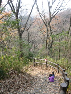 飯盛山ハイキング_c0113733_211454.jpg