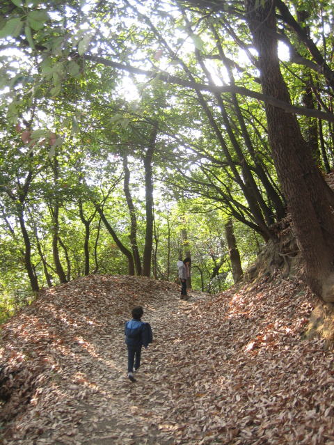 飯盛山ハイキング_c0113733_2195595.jpg