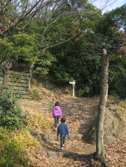 c0113733_264650.jpg