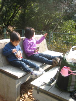 c0113733_28257.jpg