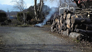 f0161535_01916.jpg