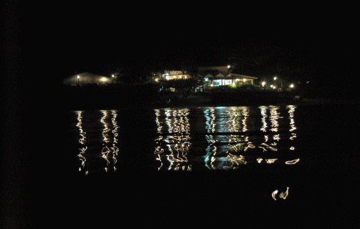 b0100637_19372176.gif