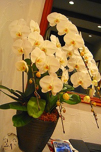c0047339_16214621.jpg