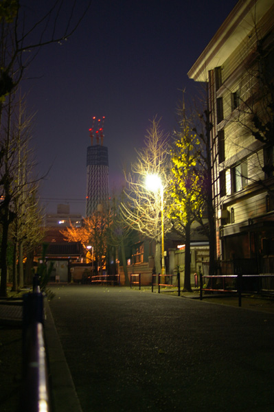 c0090139_1585331.jpg