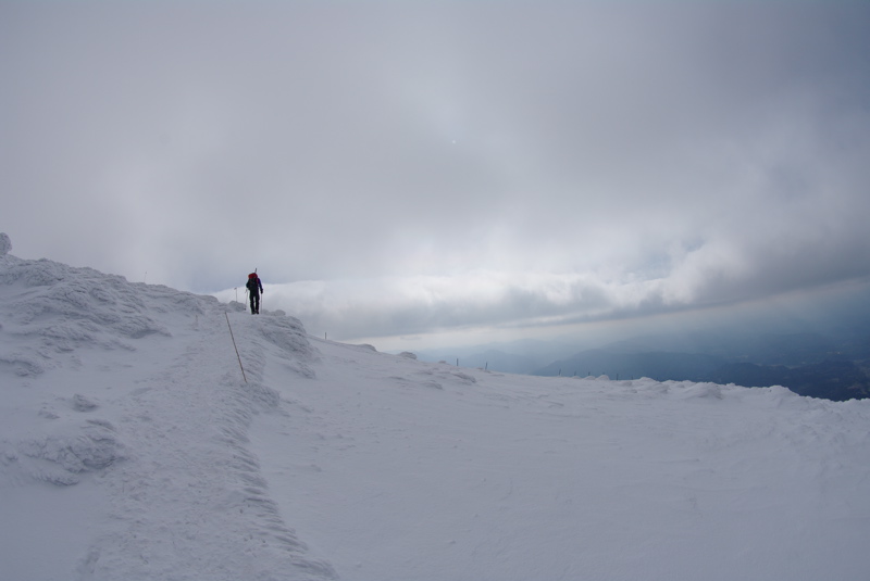 大山登山その２_a0009554_10335281.jpg