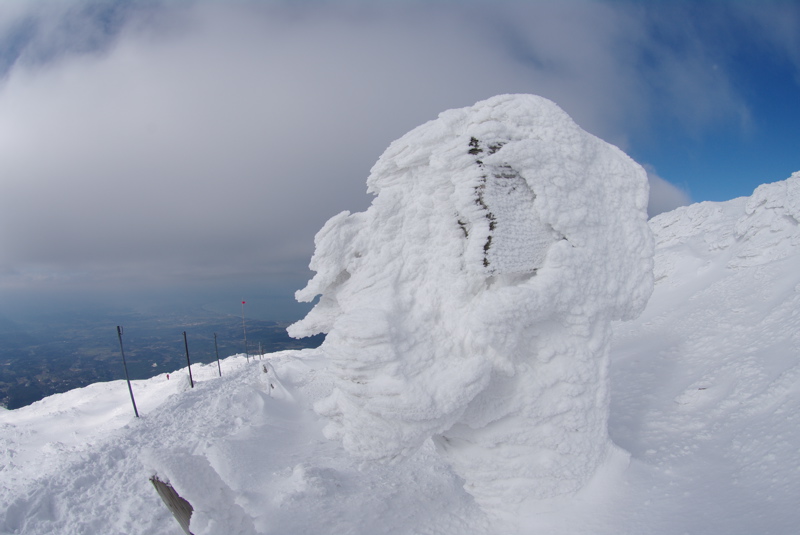 大山登山その２_a0009554_1036045.jpg