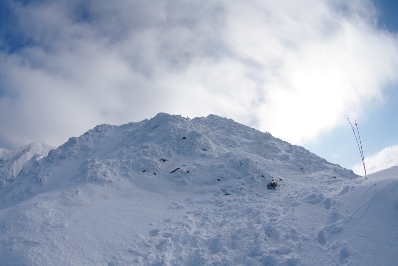 大山登山その２_a0009554_10393174.jpg