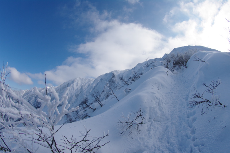 大山登山その２_a0009554_10412969.jpg