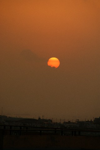 e0166355_742129.jpg