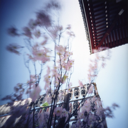 2010年が始まりました 浅草寺 Pinhole Photography_f0117059_23501170.jpg