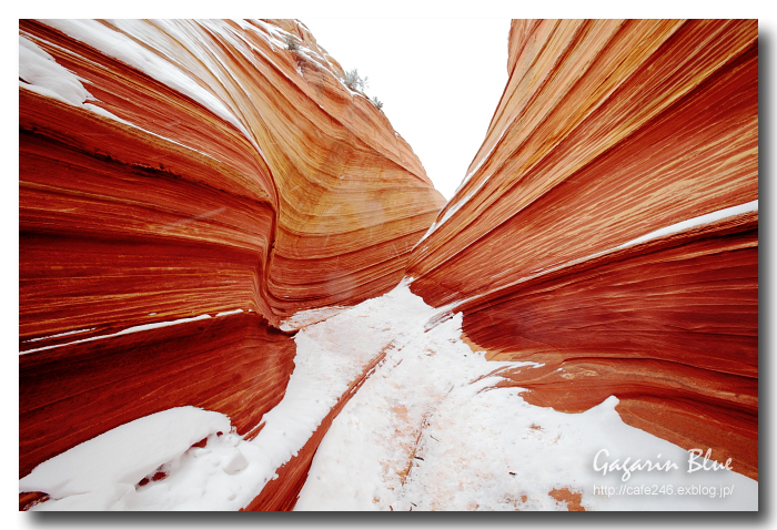 The Wave  (Coyote Buttes North )_f0194864_22193380.jpg