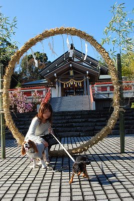 旅納め～伊豆の旅２日目前編～_c0197466_1292476.jpg