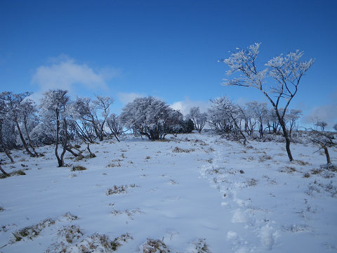 鈴鹿山系　イブネ、クラシ_c0002874_81716100.jpg