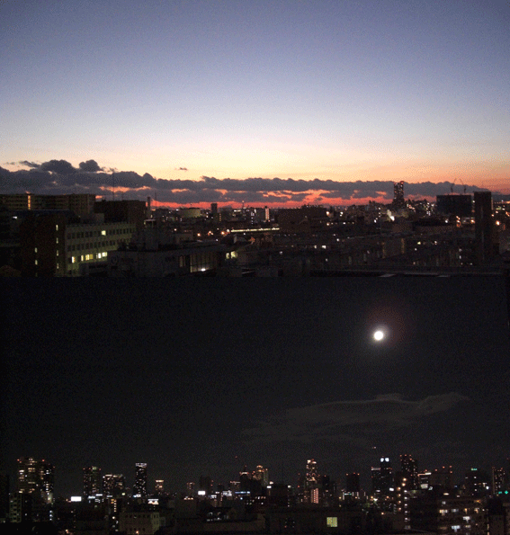 c0095679_1824937.gif