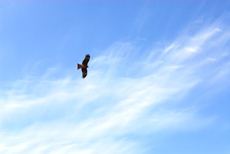 2009大晦日_f0174982_21332334.jpg