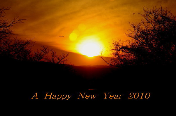 新年あけましておめでとうございます_d0127888_23545915.jpg