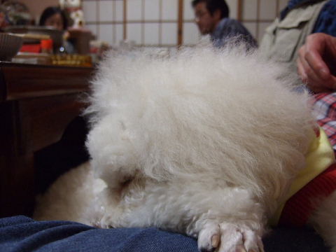 b0104592_16584527.jpg