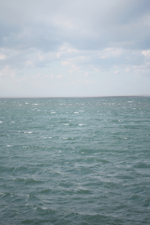 d0133693_20534253.jpg
