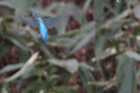 d0133693_2055124.jpg
