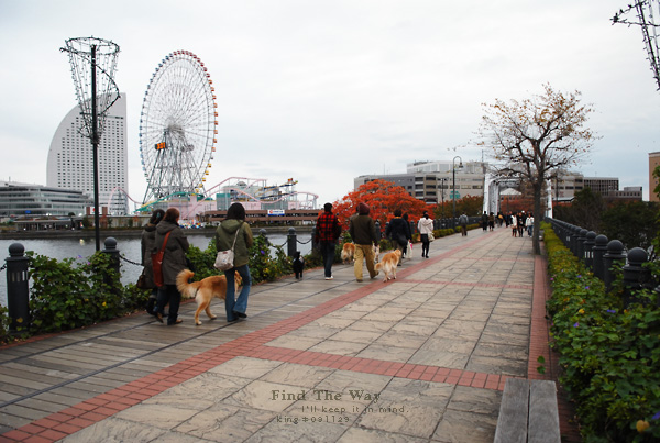 【犬的散歩日和】横浜・汽車道　２／２ 〜 開港の道_f0054594_13392312.jpg