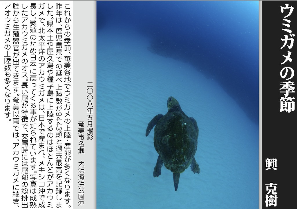 12/31 よいお年を_a0010095_1534559.jpg