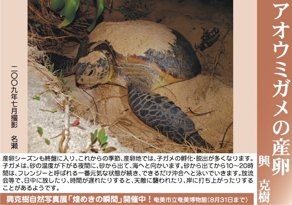 12/31 よいお年を_a0010095_1554316.jpg