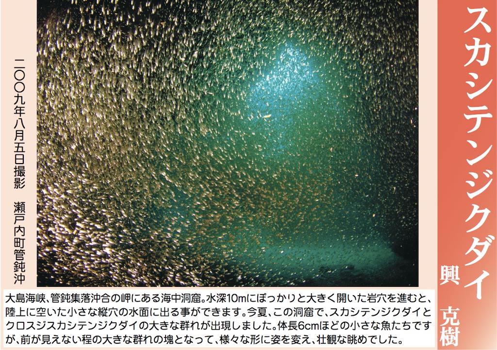 12/31 よいお年を_a0010095_1561728.jpg