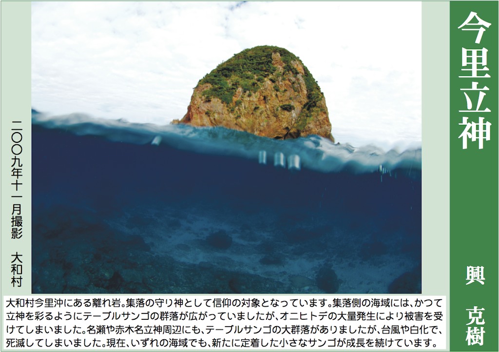 12/31 よいお年を_a0010095_1574560.jpg