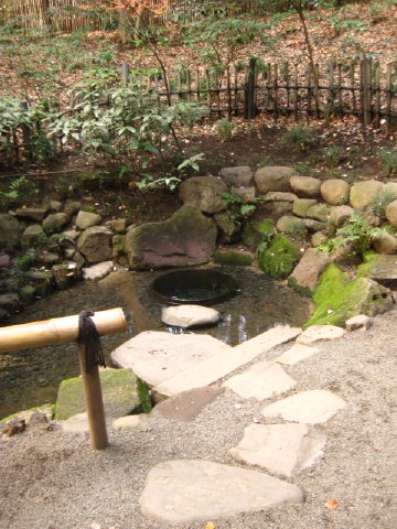 c0180096_71635.jpg